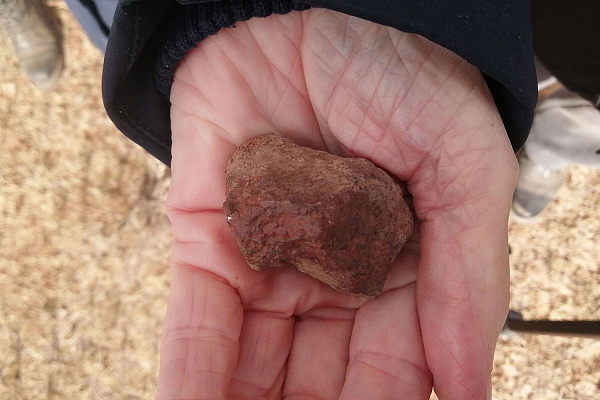 Научный сотрудник  Музея земледелия МГУ обнаружил фрагмент метеорита Царев